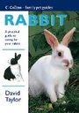 Cover: Rabbit - Collins