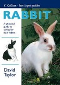 Cover: Rabbit - Collins
