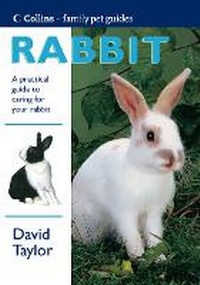 Enlarge image Cover: Rabbit - Collins