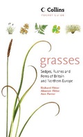Cover: Grasses, Sedges, Rushes and Ferns of Britain and Northern Europe - Collins