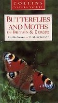Cover: Butterflies and Moths of Britain and Europe - Collins