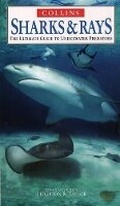 Cover: Sharks and Rays - Collins