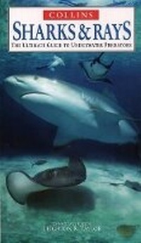 Enlarge image Cover: Sharks and Rays - Collins