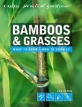 Cover: Bamboos and Grasses - Collins