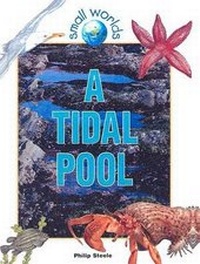 Enlarge image Cover: A Tidal Pool - Turtleback Books