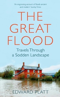 Abbildung von: The Great Flood - Picador