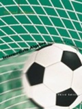 Cover: Intermediate Algebra - Houghton Mifflin
