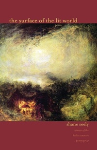 Enlarge image Cover: The Surface of the Lit World - Ohio University Press