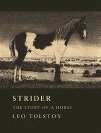 Enlarge image Cover: Strider - Borderland Books