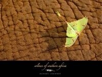 Abbildung von: Colours of Southern Africa - Lochner Photography & Publishing