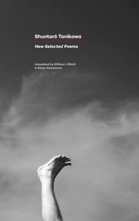 Enlarge image Cover: New Selected Poems - Carcanet Press Ltd