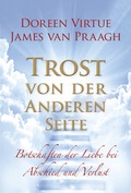 Cover: Trost von der Anderen Seite - L.E.O. Verlag