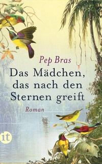 Abbildung von: Das Mädchen, das nach den Sternen greift - Insel