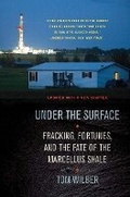 Cover: Under the Surface - Cornell University Press