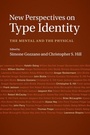 Cover: New Perspectives on Type Identity - Cambridge University Press