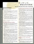 Cover: Bible Doctrine Laminated Sheet - Zondervan Academic