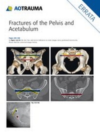 Enlarge image Cover: Fractures of the Pelvis and Acetabulum (AO) - Thieme
