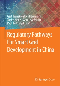 Bild: Regulatory Pathways For Smart Grid Development in China - Springer Vieweg