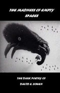 Cover: The Madness of Empty Spaces - Weasel Press