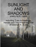 Cover: Sunlight and Shadows - Blue Vagabond Productions