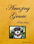 Cover: Amazing Gracie - David E. Steward