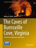 Cover: The Caves of Burnsville Cove, Virginia - Springer