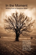 Cover: In the Moment - Writing from a Spacious Mind - Spring Street Publishing