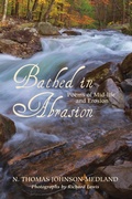 Cover: Bathed in Abrasion - Wipf and Stock Publishers