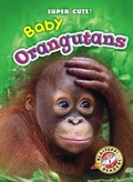 Cover: Baby Orangutans - Bellwether Media