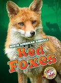 Cover: Red Foxes - Bellwether Media