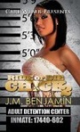 Cover: Carl Weber Presents Ride or Die Chick 2 - Urban Books