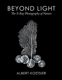 Abbildung von: Beyond Light - Xlibris