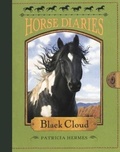 Cover: Black Cloud - Turtleback Books