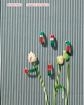 Cover: Annette Kelm. Subjects and Objects - K&ouml;nig, Walther