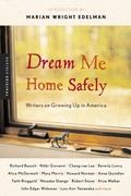Cover: Dream Me Home Safely - Harper Perennial