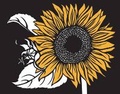 Cover: Eco-Notecards: Bloom - Chronicle Books