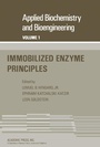 Cover: Immobilized Enzyme Principles - Academic Press