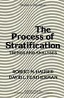 Cover: The Process of Stratification - Academic Press