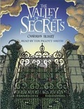 Cover: Valley of Secrets - Hodder Children's Books