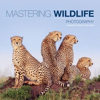 Abbildung von: Mastering Wildlife Photography - Ammonite Press