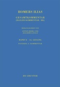 Cover: Kommentar - De Gruyter