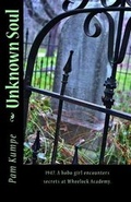 Cover: Unknown Soul - Pam\Kumpe