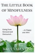 Cover: The Little Book of Mindfulness - Buddhaimonia Publishing