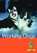 Cover: Working Dogs - Badger Publishing