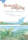 Cover: Beneath The Surface - Minnesota Historical Society Press