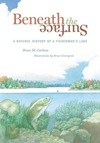 Enlarge image Cover: Beneath The Surface - Minnesota Historical Society Press
