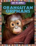 Cover: Orangutan Orphans - PowerKids Press