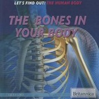 Enlarge image Cover: The Bones in Your Body - Rosen Education Service