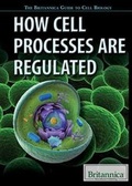 Cover: How Cell Processes Are Regulated - Rosen Education Service