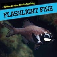 Enlarge image Cover: Flashlight Fish - PowerKids Press